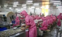 预制菜新规下，饺子源头工厂如何抢占鲜食赛道？